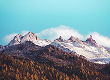 【欧洲杯】潘德夫一度追平 奥地利3比1胜北马其顿